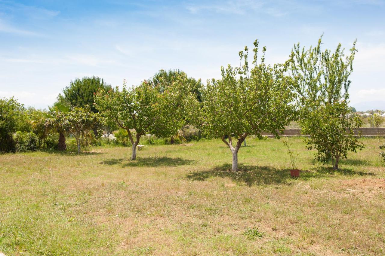 Olives Estate Apartments Grande Preveza Exterior photo