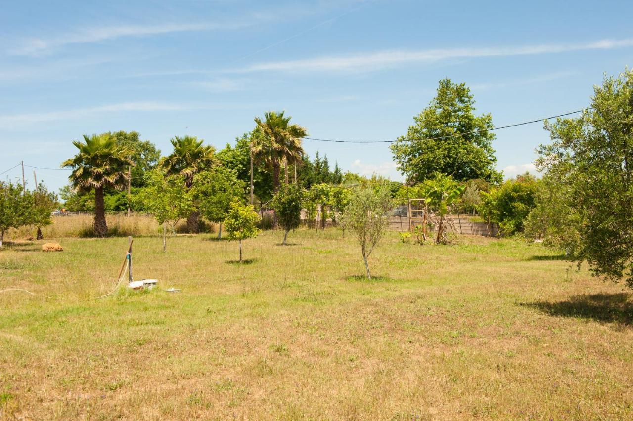 Olives Estate Apartments Grande Preveza Exterior photo